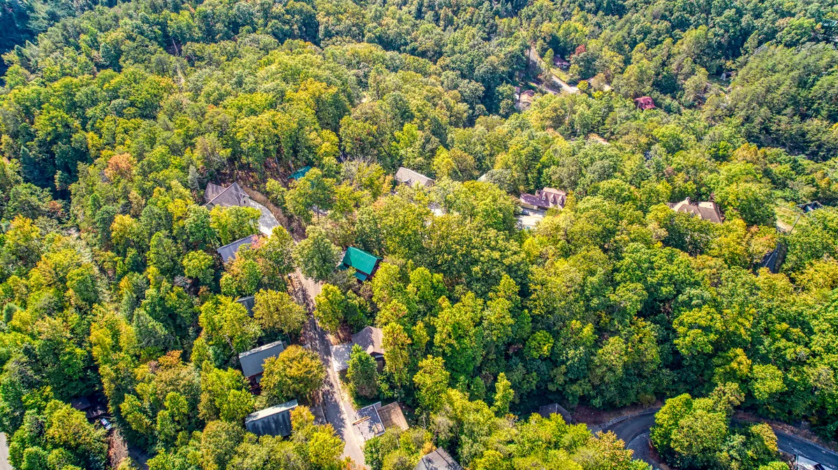 An inviting aerial view of dense forest interspersed with scattered houses and a winding road, illustrating the cabin’s secluded neighborhood nestled in unspoiled woodlands. The scene is peaceful and offers a sense of discovery and connection to nature.