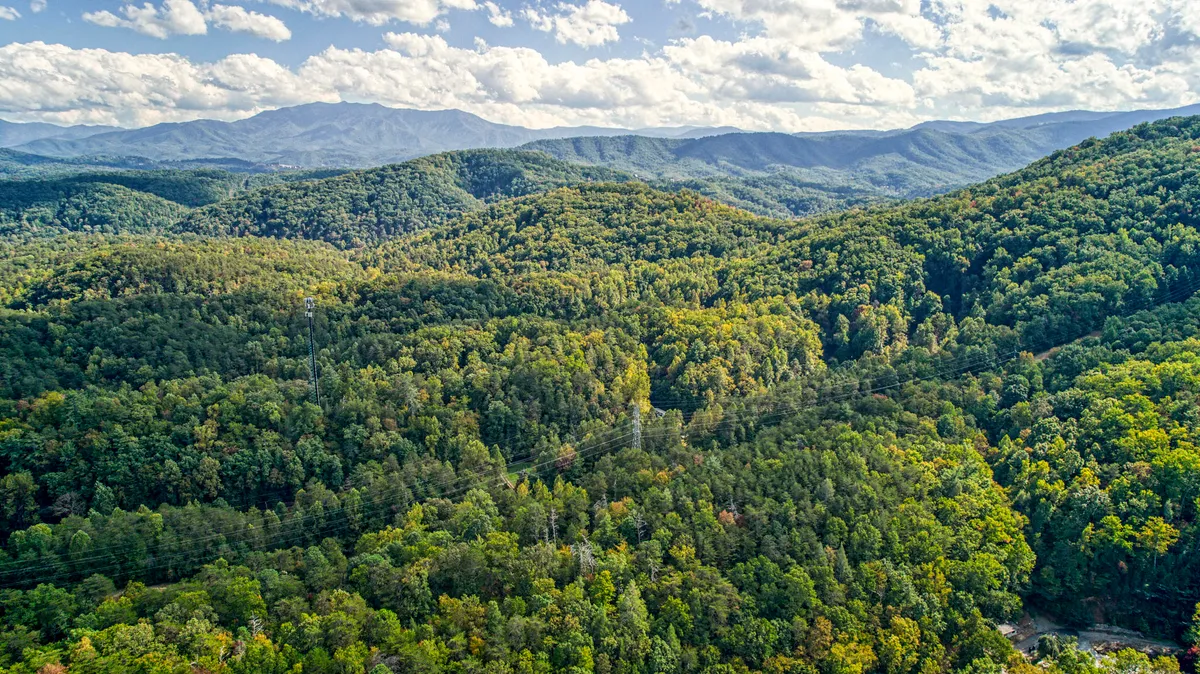 This image captures a sweeping view of lush green forests extending toward distant mountains under a cloud-filled sky. The scene is marked by vibrant greenery, hints of wildflowers in the foreground, and a tranquil, expansive horizon that evokes a sense of peace and natural beauty.